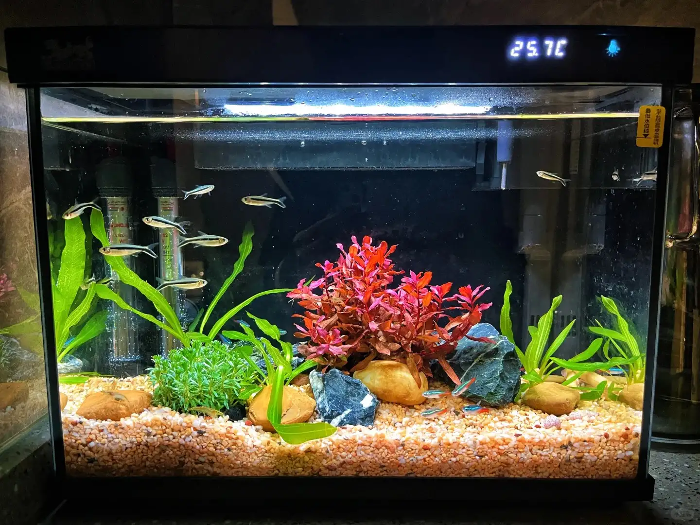 top 10 aquacaping 1