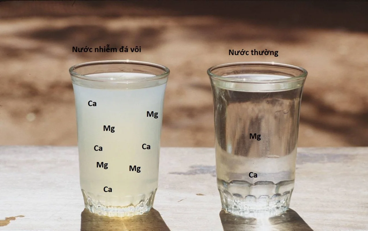 Các dấu hiệu nhận biết cặn canxi trong hồ cá hướng dẫn xử lý thủy sinh bị cứng đầu quả