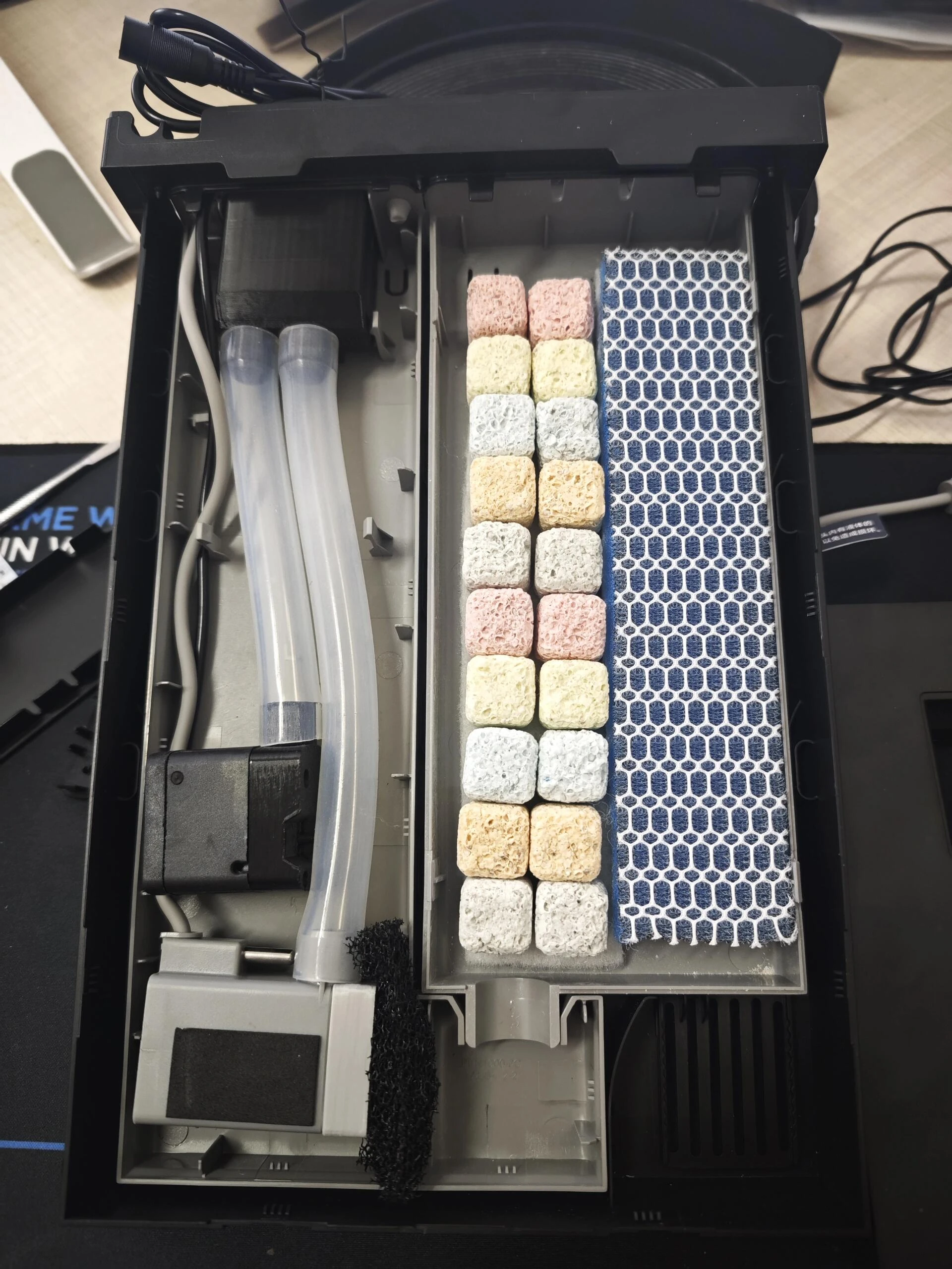 Bể cá để bàn văn phòng cho người mới: kinh nghiệm setup bể mini nuôi cá Neon và tép Blue Dream Fire Red 8 Bể cá để bàn văn phòng cho người mới: kinh nghiệm setup bể mini nuôi cá Neon và tép Blue Dream Fire Red