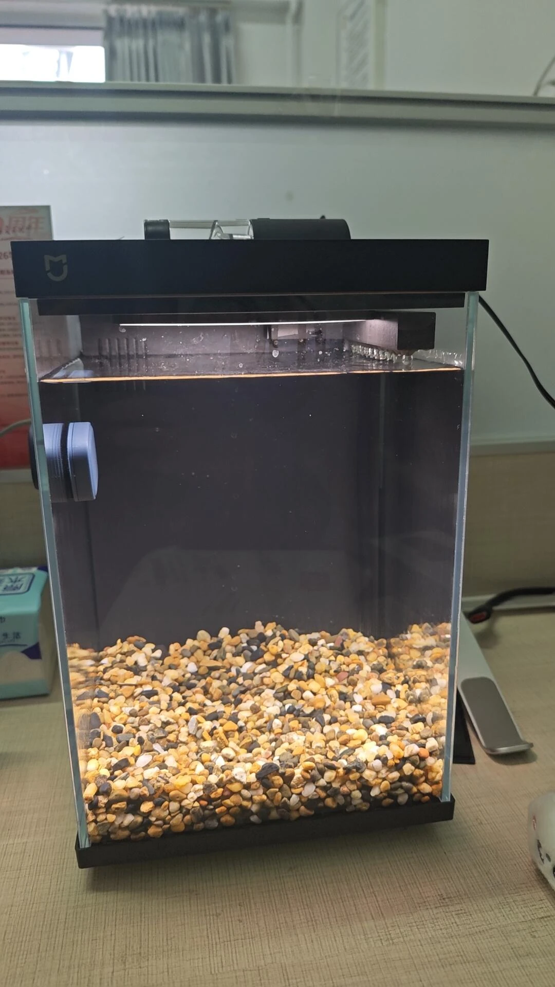 Bể cá để bàn văn phòng cho người mới: kinh nghiệm setup bể mini nuôi cá Neon và tép Blue Dream Fire Red 10 Bể cá để bàn văn phòng cho người mới: kinh nghiệm setup bể mini nuôi cá Neon và tép Blue Dream Fire Red