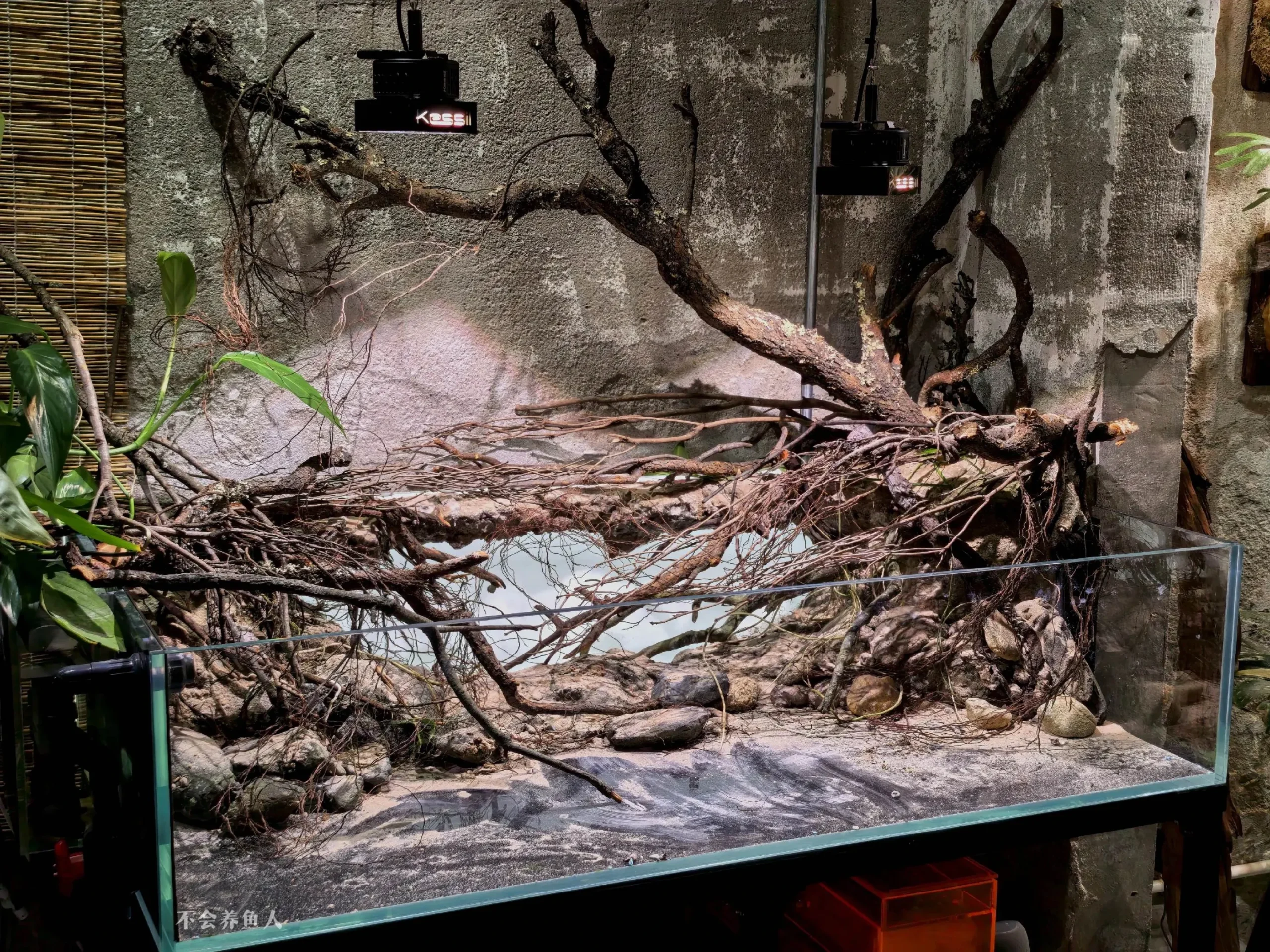 Hướng Dẫn Setup Hồ Thủy Sinh Phong Cách Bờ Sông Nam Mỹ Cực Đỉnh 7 Hướng Dẫn Setup Hồ Thủy Sinh Phong Cách Bờ Sông Nam Mỹ Cực Đỉnh